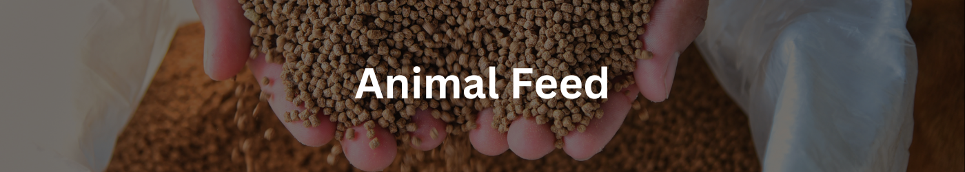 Animal Feed