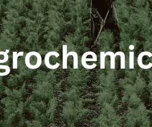 Agrochemicals